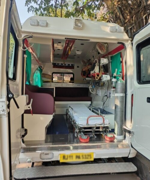 WhatsApp Image 2025-11-19 at 2.54.52 PM